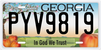 GA license plate PYV9819