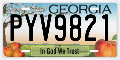 GA license plate PYV9821