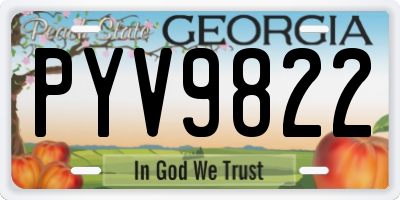 GA license plate PYV9822