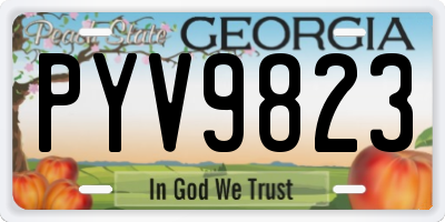 GA license plate PYV9823