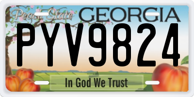 GA license plate PYV9824