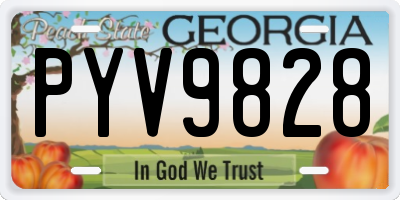 GA license plate PYV9828