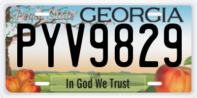 GA license plate PYV9829