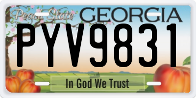 GA license plate PYV9831