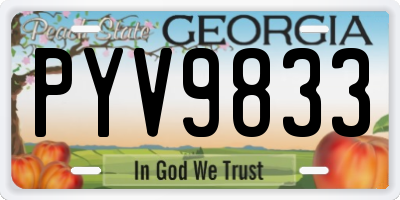 GA license plate PYV9833