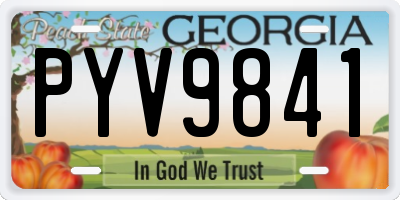GA license plate PYV9841