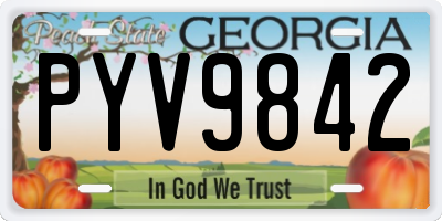 GA license plate PYV9842