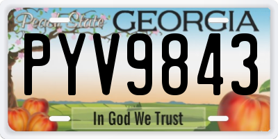GA license plate PYV9843