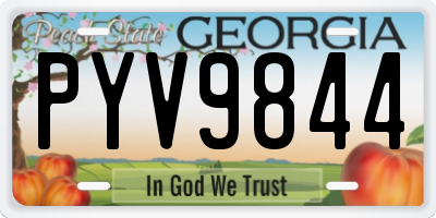GA license plate PYV9844