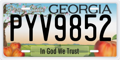 GA license plate PYV9852