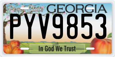 GA license plate PYV9853