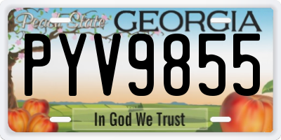 GA license plate PYV9855