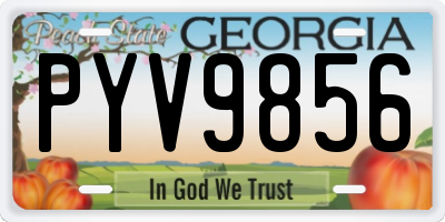 GA license plate PYV9856