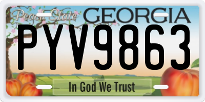 GA license plate PYV9863