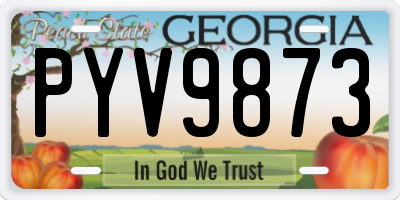 GA license plate PYV9873