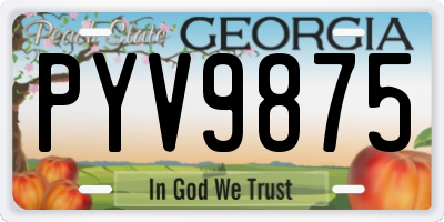 GA license plate PYV9875