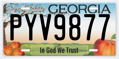 GA license plate PYV9877