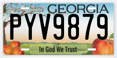 GA license plate PYV9879