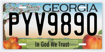 GA license plate PYV9890