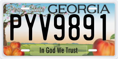 GA license plate PYV9891