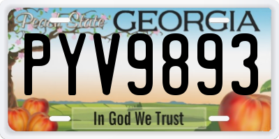 GA license plate PYV9893