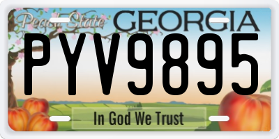 GA license plate PYV9895