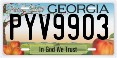 GA license plate PYV9903