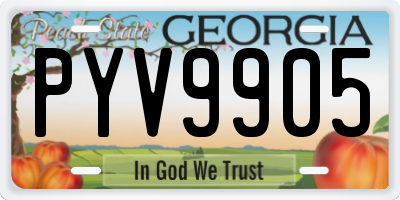 GA license plate PYV9905