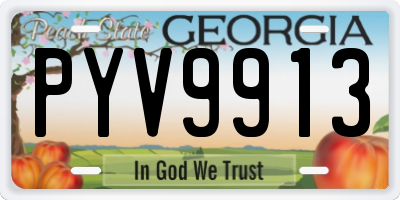 GA license plate PYV9913