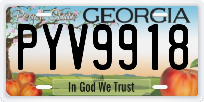 GA license plate PYV9918