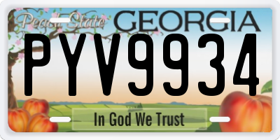 GA license plate PYV9934