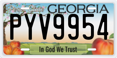 GA license plate PYV9954