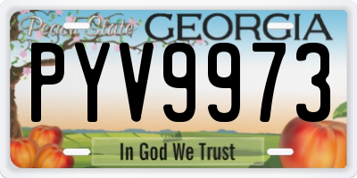 GA license plate PYV9973