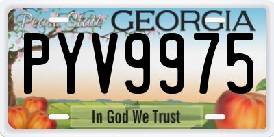 GA license plate PYV9975