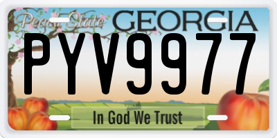 GA license plate PYV9977
