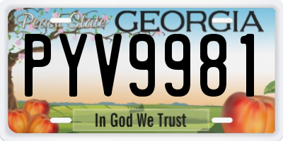 GA license plate PYV9981