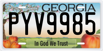 GA license plate PYV9985