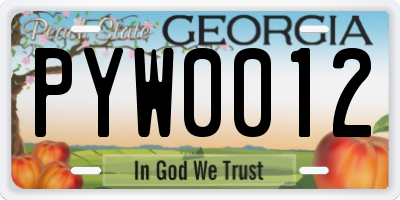 GA license plate PYW0012