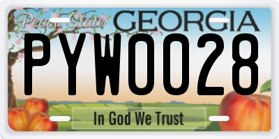 GA license plate PYW0028