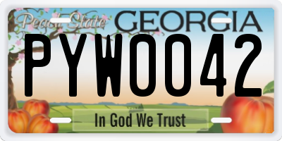 GA license plate PYW0042
