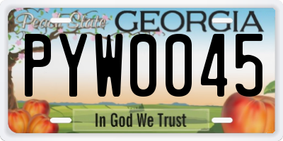 GA license plate PYW0045