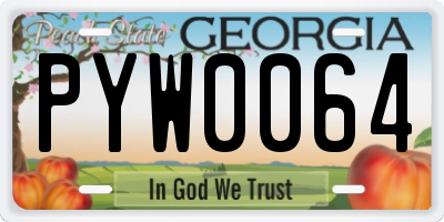 GA license plate PYW0064
