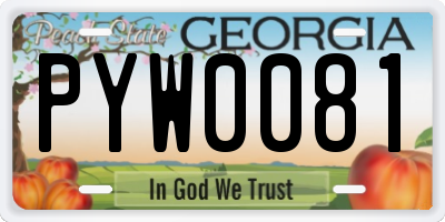 GA license plate PYW0081