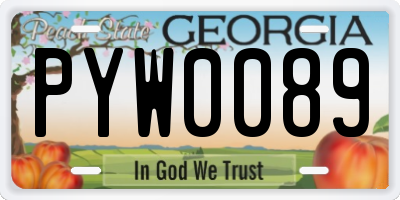 GA license plate PYW0089