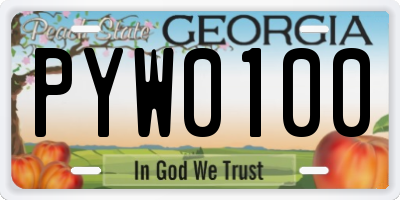 GA license plate PYW0100