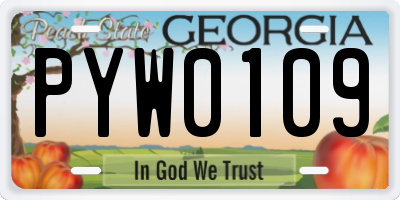 GA license plate PYW0109
