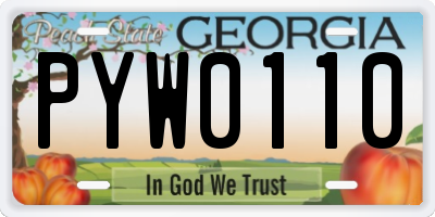 GA license plate PYW0110