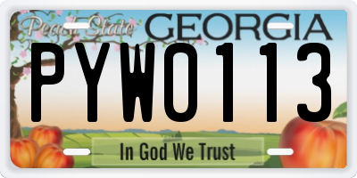 GA license plate PYW0113
