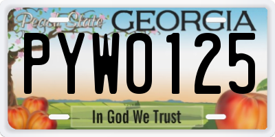 GA license plate PYW0125