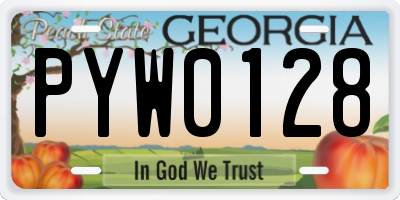 GA license plate PYW0128